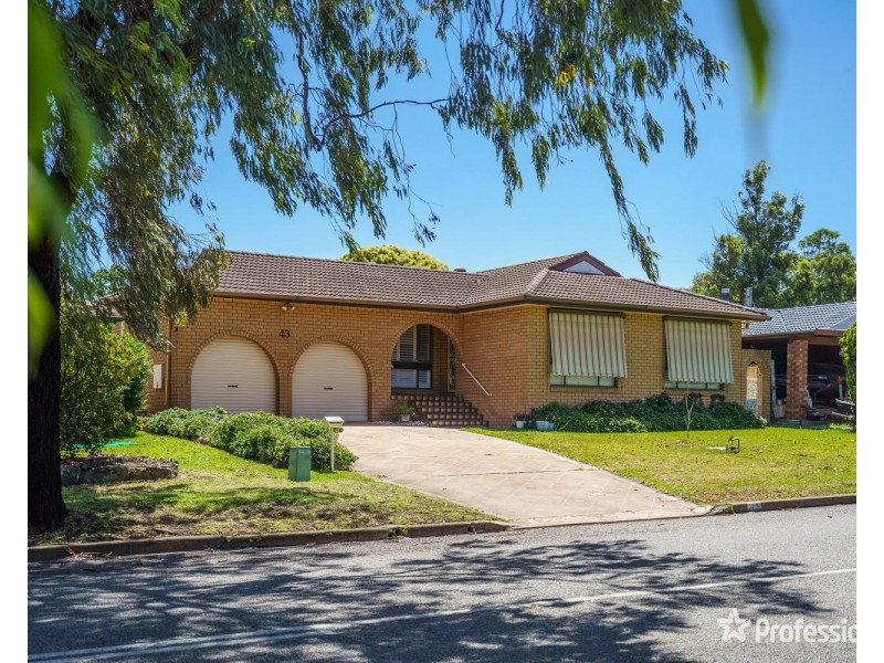 43 Shiraz Street, Muswellbrook NSW 2333