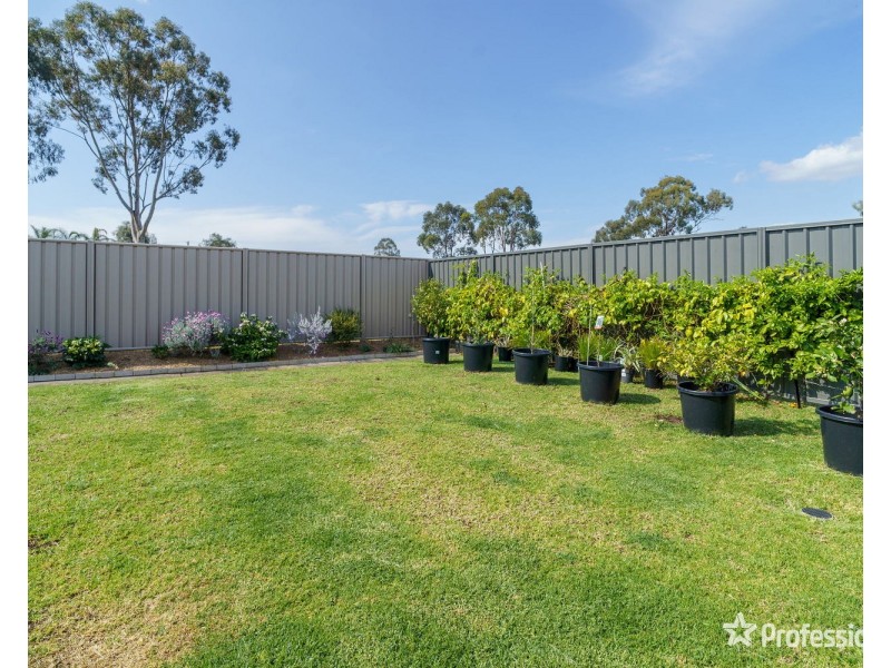 31 Pendula Way, Denman NSW 2328