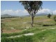 10 Northerly Close, Muswellbrook NSW 2333