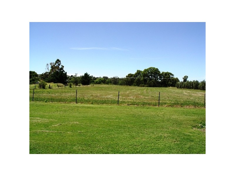 311 Wybong Road, Muswellbrook NSW 2333