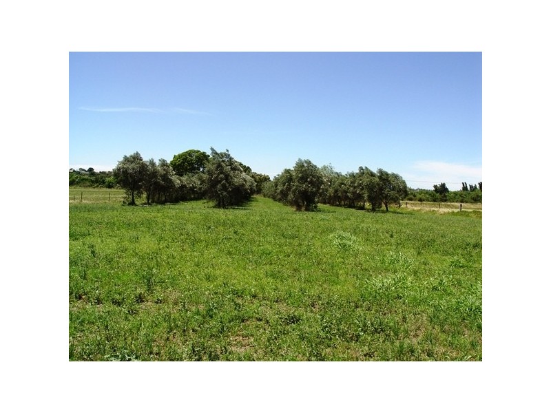 311 Wybong Road, Muswellbrook NSW 2333