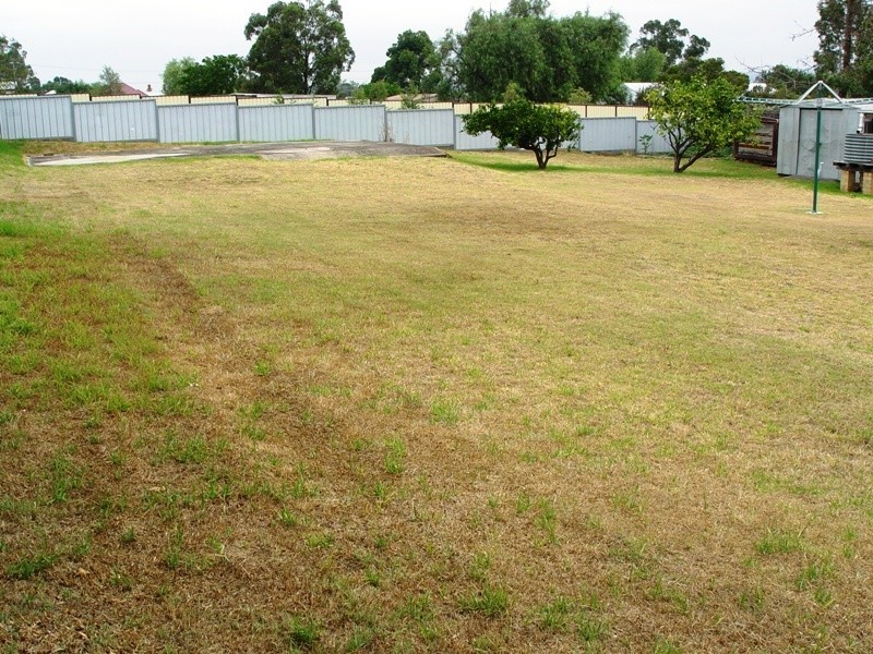 41 Moray Street, Aberdeen NSW 2336