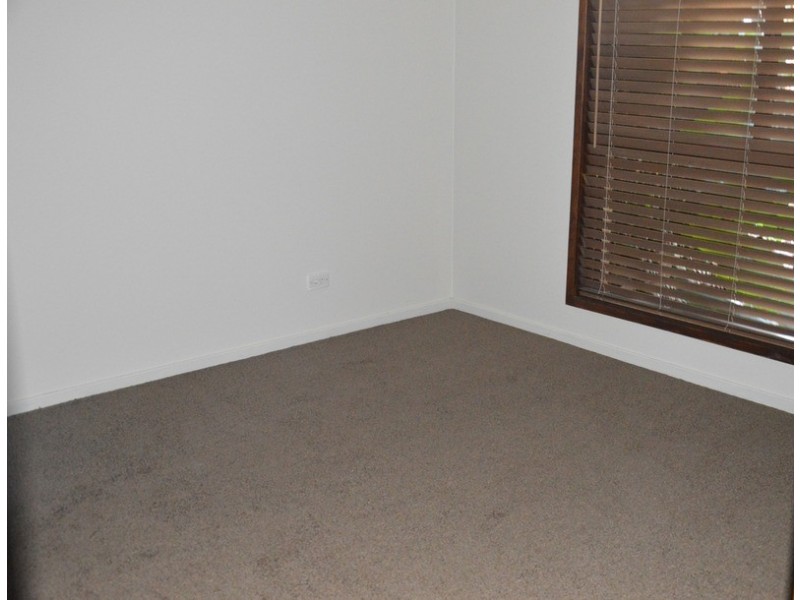 13 Riesling Street, Muswellbrook NSW 2333