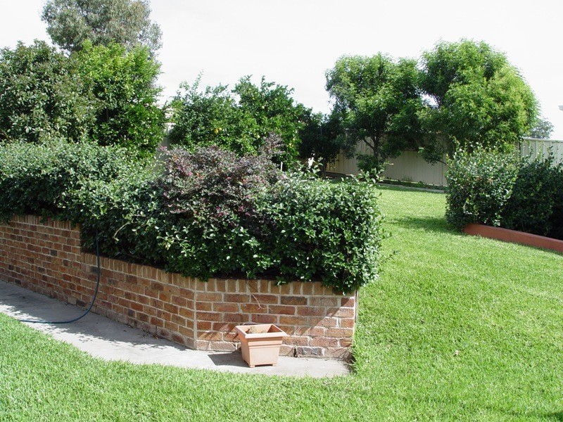 3 Fitzgerald Avenue, Muswellbrook NSW 2333