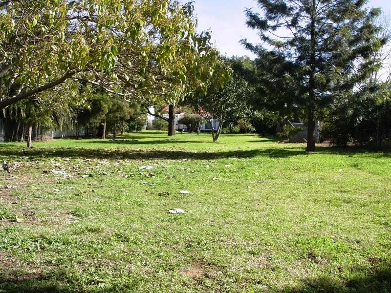 23 Scott Street, Muswellbrook NSW 2333