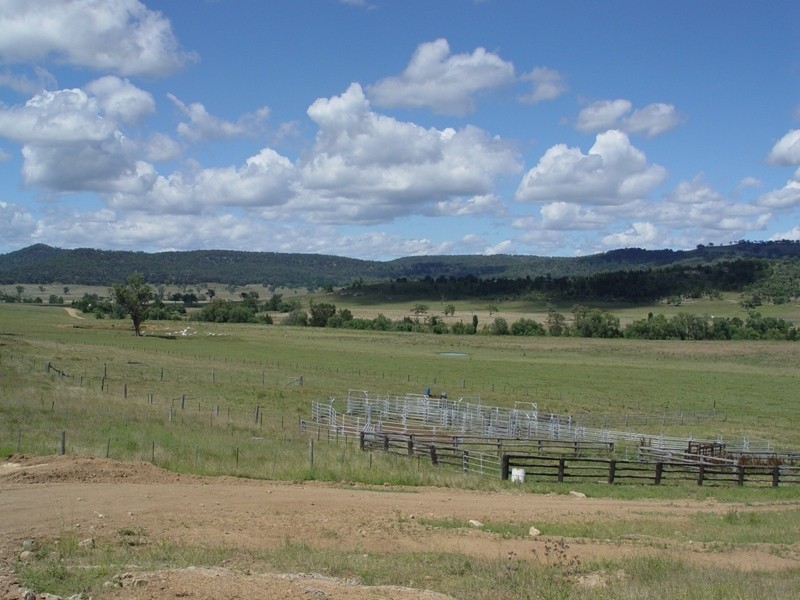 1605 Ridgelands Road, Muswellbrook NSW 2333