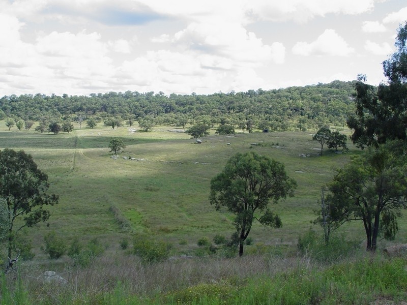 1605 Ridgelands Road, Muswellbrook NSW 2333