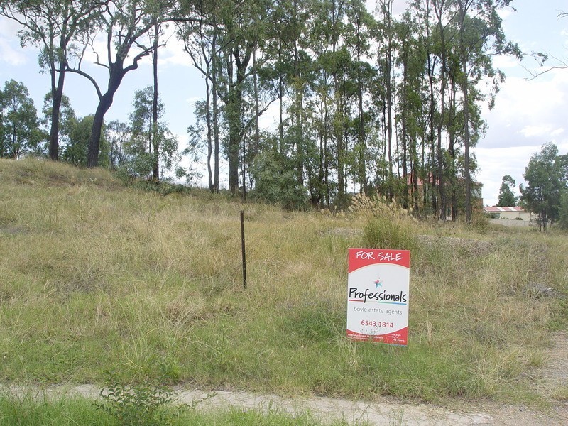 39 Lou Fisher Close, Muswellbrook NSW 2333