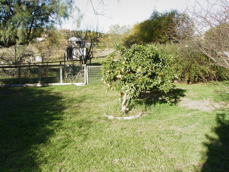 46 Segenhoe Street, Aberdeen NSW 2336