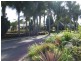 15 Hall Street, Aberdeen NSW 2336