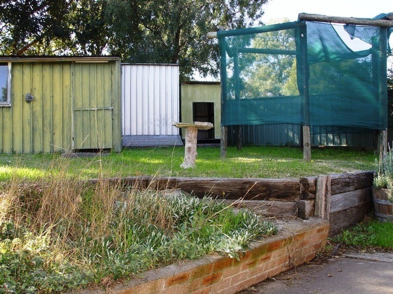 37 Shiraz Street, Muswellbrook NSW 2333