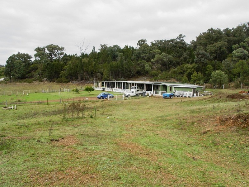 Sandy Hollow NSW 2333