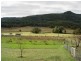 Sandy Hollow NSW 2333