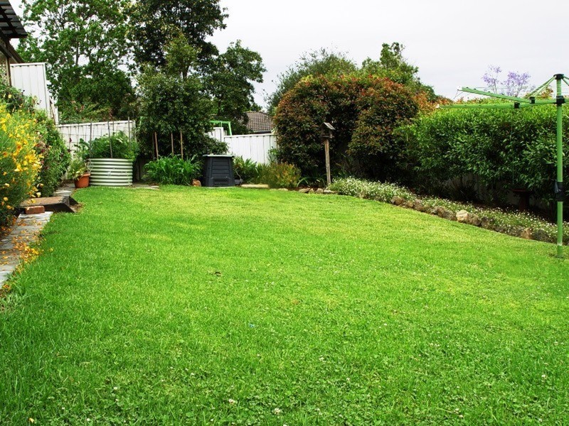 6 Bloodwood Road, Muswellbrook NSW 2333