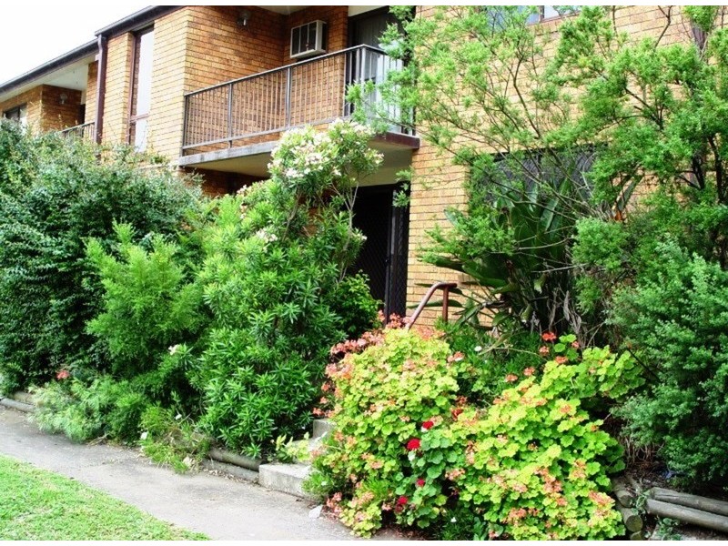 3/5 The Grove Skellatar Street, Muswellbrook NSW 2333