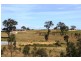 110 Ironbark “Ironbark Ridge Estate” Road, Muswellbrook NSW 2333