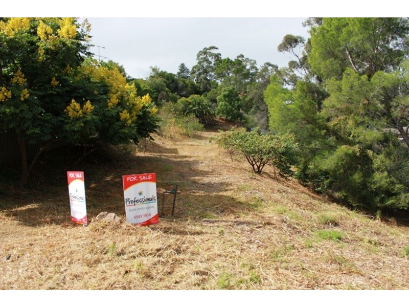 27 Carl Street, Muswellbrook NSW 2333