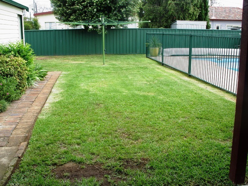 13 Bligh Lane, Muswellbrook NSW 2333