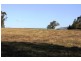 182 Ironbark Road, Muswellbrook NSW 2333