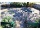 208 Bridge Street, Muswellbrook NSW 2333