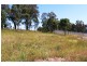 29 Lou Fisher Place, Muswellbrook NSW 2333