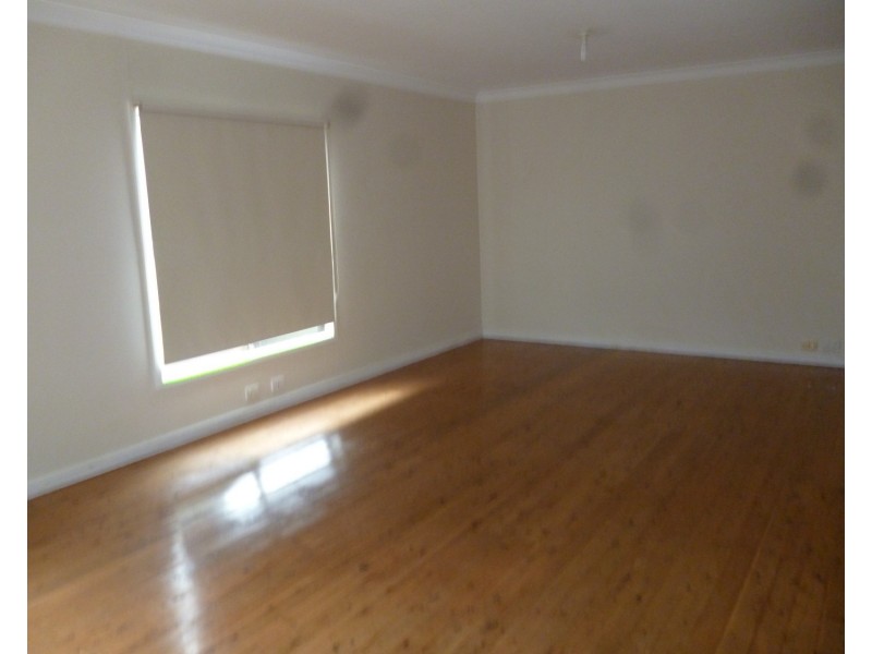 48b Segenhoe Street, Aberdeen NSW 2336