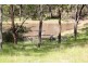 8522 New England Highway, Muswellbrook NSW 2333