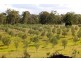 8522 New England Highway, Muswellbrook NSW 2333