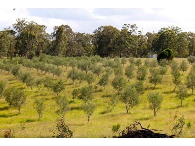8522 New England Highway, Muswellbrook NSW 2333