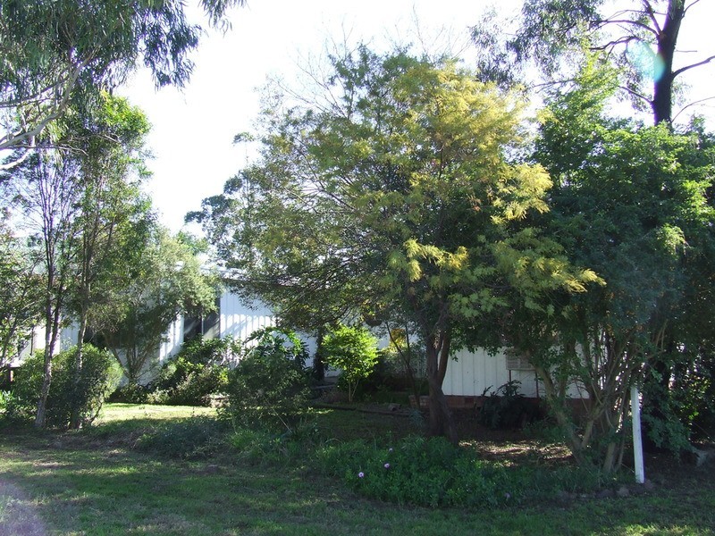 10 Richmond Street, Muswellbrook NSW 2333