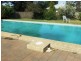 182 Ironbark Road, Muswellbrook NSW 2333