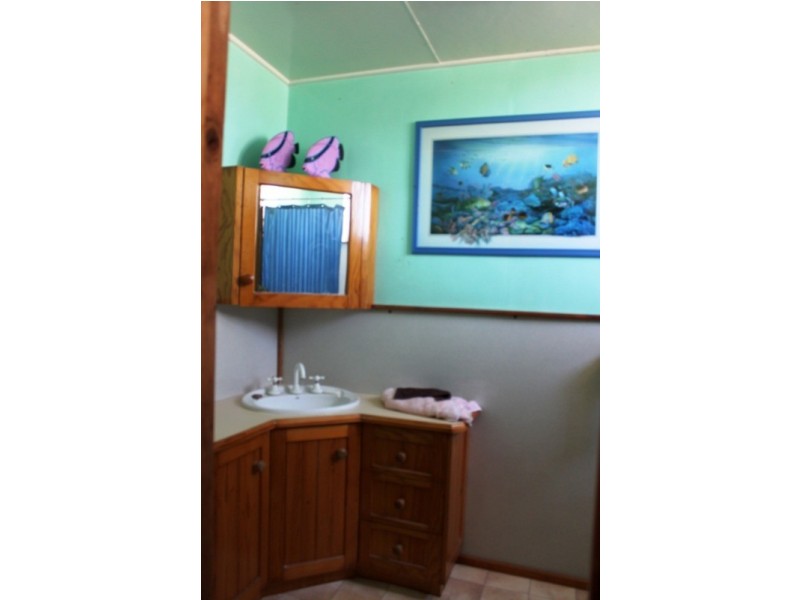 131 MacQueen Street, Aberdeen NSW 2336