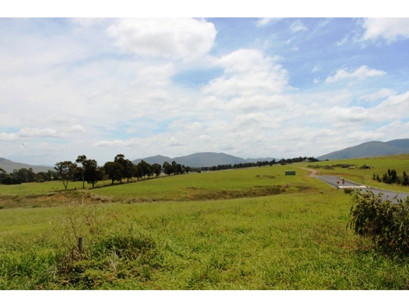 LOT 56 Northview Estate, Muswellbrook NSW 2333