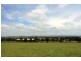 LOT 68 Northview Estate, Muswellbrook NSW 2333