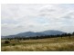 LOT 88 Northview Estate, Muswellbrook NSW 2333