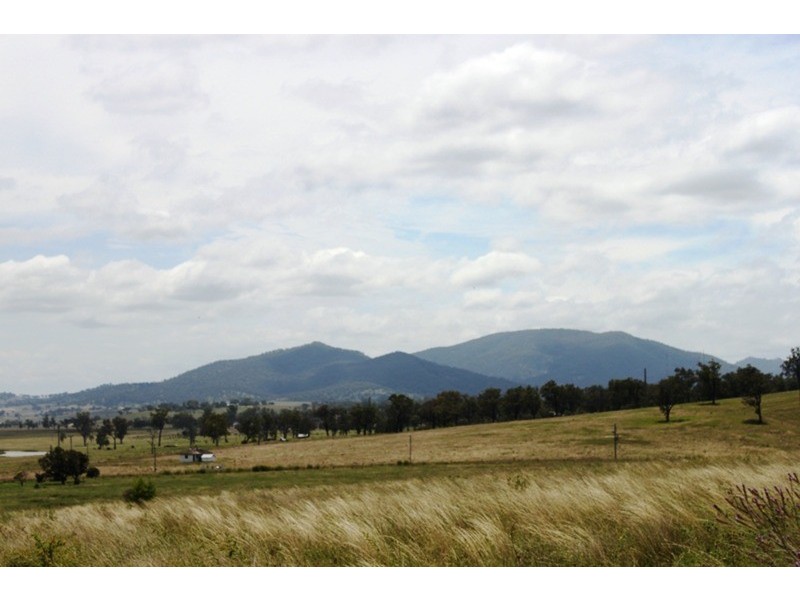LOT 88 Northview Estate, Muswellbrook NSW 2333