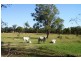 31 Pamger Drive, Muswellbrook NSW 2333