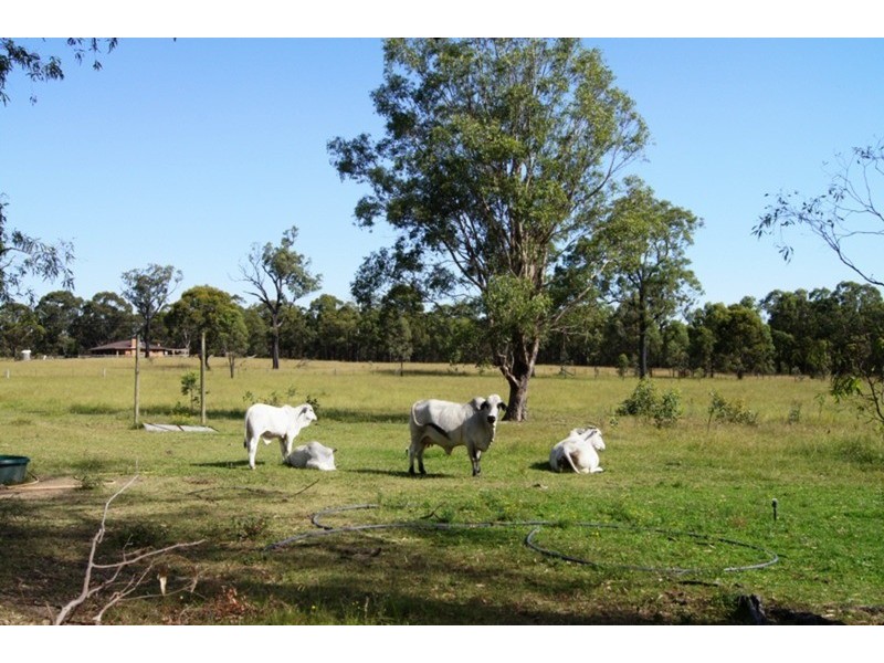 31 Pamger Drive, Muswellbrook NSW 2333