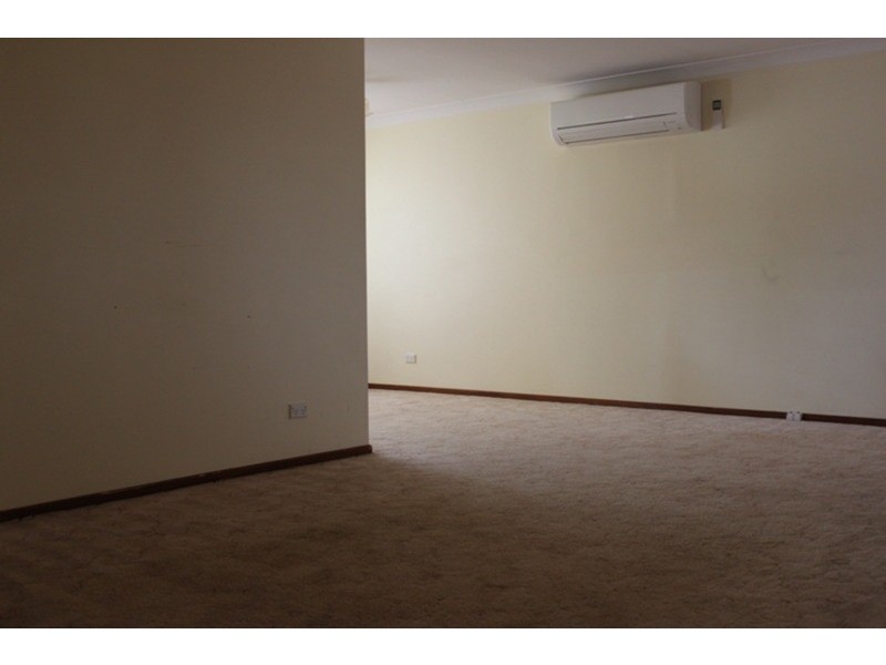 17 Peppermint Road, Muswellbrook NSW 2333