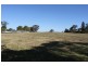 184 Skellatar Stock Route, Muswellbrook NSW 2333