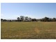 186 Skellatar Stock Route, Muswellbrook NSW 2333
