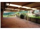 33 Calgaroo Avenue, Muswellbrook NSW 2333