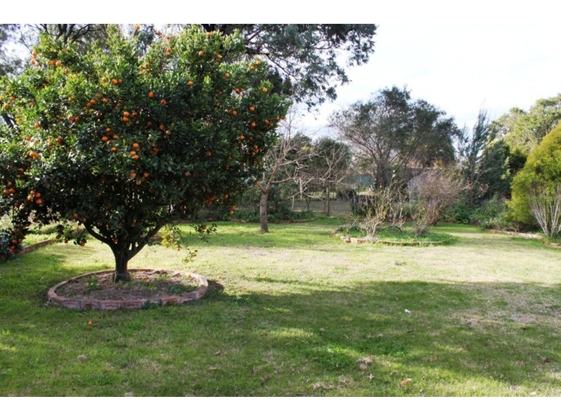 66 Lower Hill  Street, Muswellbrook NSW 2333