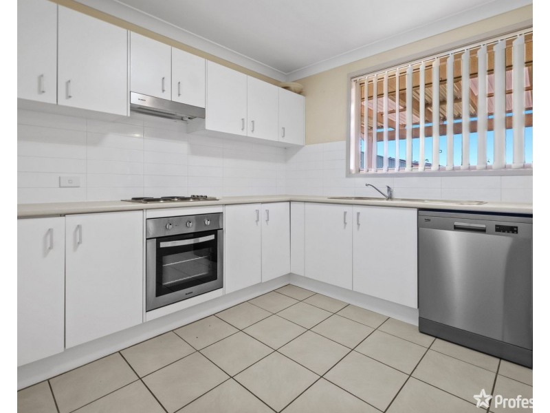 23 Henry Dangar Drive, Muswellbrook NSW 2333