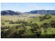 1785 Sandy Creek Road, Mccullys Gap NSW 2333