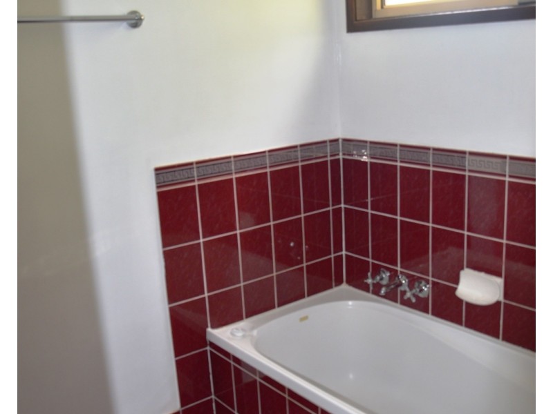 17 Lexia Street, Muswellbrook NSW 2333