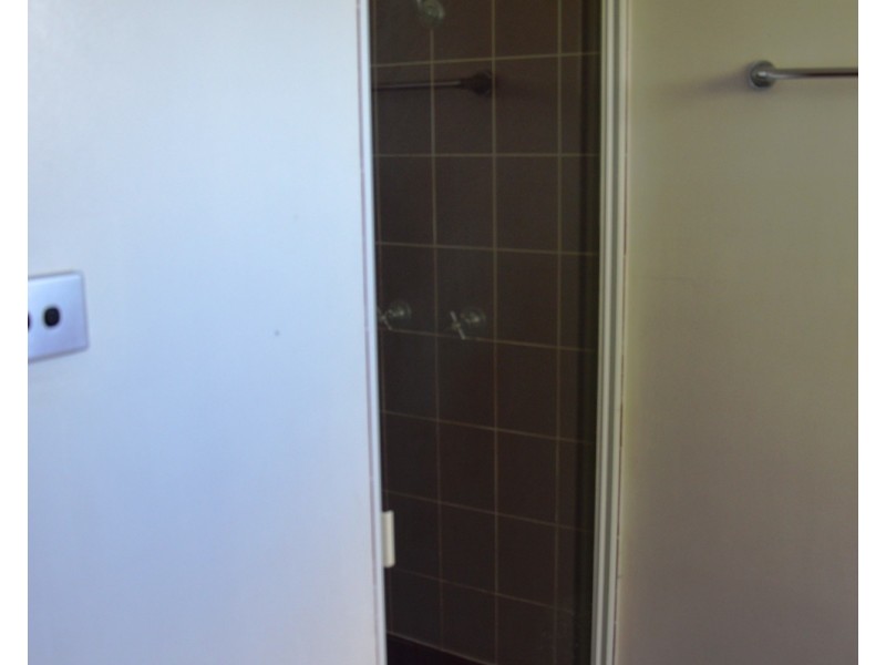 17 Lexia Street, Muswellbrook NSW 2333