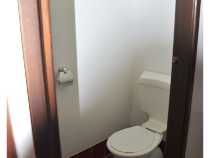 17 Lexia Street, Muswellbrook NSW 2333