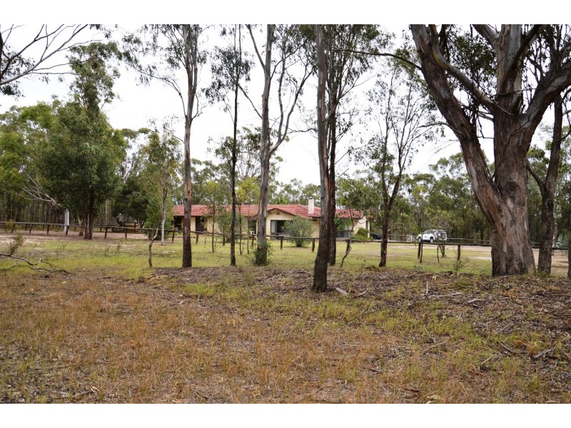 39 Pamger Drive, Muswellbrook NSW 2333