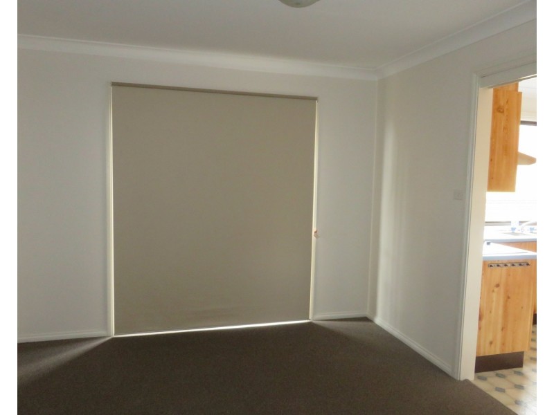 3 Rutherford Road, Muswellbrook NSW 2333